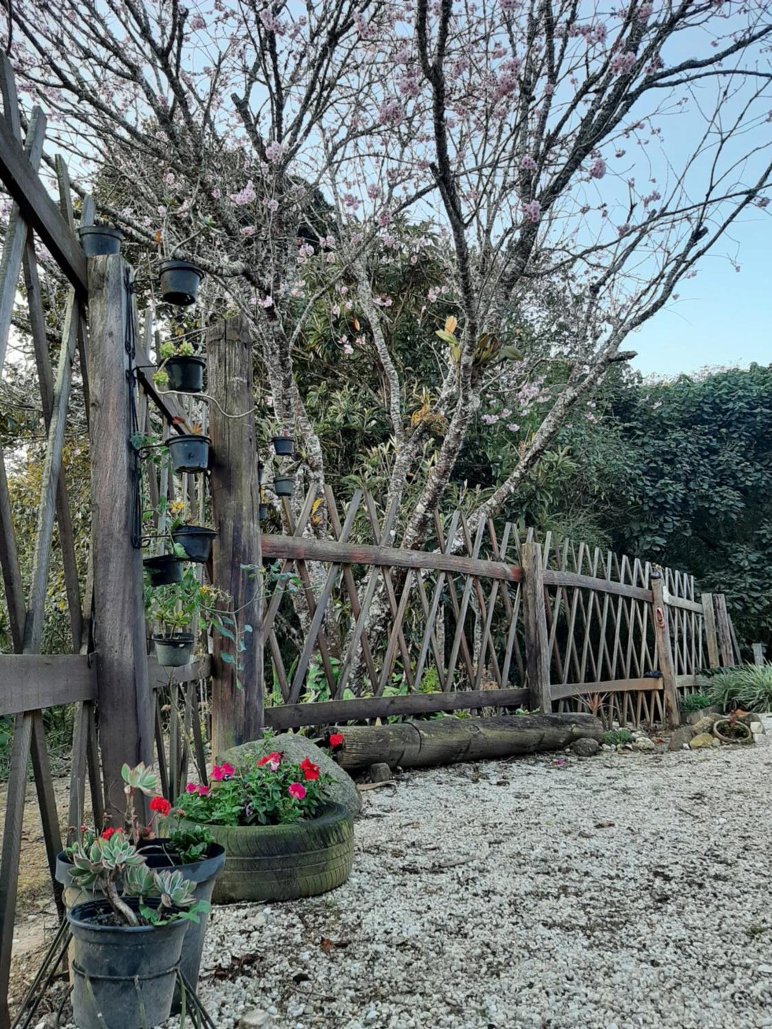 Willa Casa Kiiro, Um Ambiente Tranquilo E De Sossego. Santo Antônio do Pinhal Zewnętrze zdjęcie