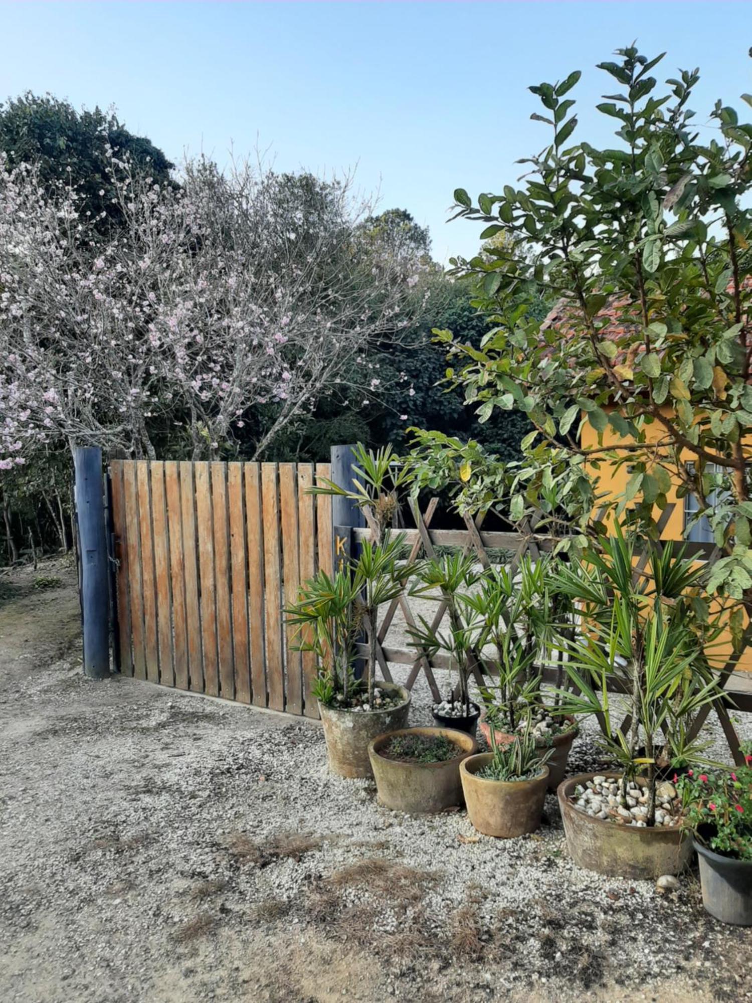 Willa Casa Kiiro, Um Ambiente Tranquilo E De Sossego. Santo Antônio do Pinhal Zewnętrze zdjęcie